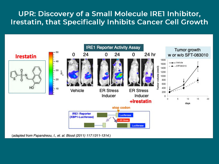 UPR: discovery of a small molecule IRE1 inhibitor, Irestatin, that specifically inhibits cancer cell growth